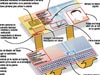 Descripción técnica del DNI electrónico